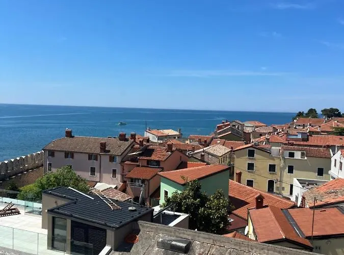 Guest house Rotonda Novigrad 3*